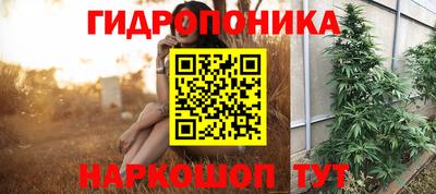 крисы Бузулук