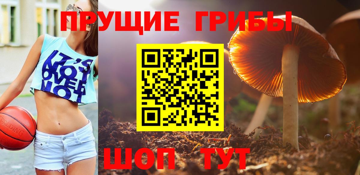 Псилоцибиновые грибы Magic Shrooms  Вход с VPN  Сергиев Посад 